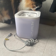 petkit 猫 給水器