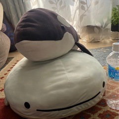 マンタ・シャチ
