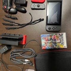 Switch ソフトアクセサリー付き