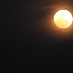 満月の夜会 ～月明かりの下で語り合うひととき～