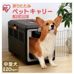 アイリスオーヤマ 犬 猫 キャリー 折りたたみ ブラック/オレンジ 中型犬用の画像