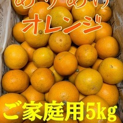 【受付終了】☆ありあけオレンジ☆サイズ混合☆訳あり5kg