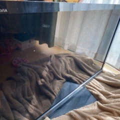 SONY BRAVIA テレビ46インチ