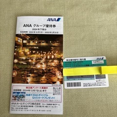 ANA 株主優待　有効期限2025.11.30まで