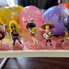 ワンピの実ガチャ
の画像