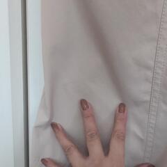 トレンチコートの画像