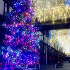 今日25日クリスマスマーケット一緒に行ける方募集してます！