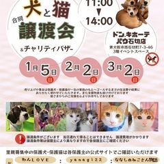2月2日　犬と猫の合同譲渡会