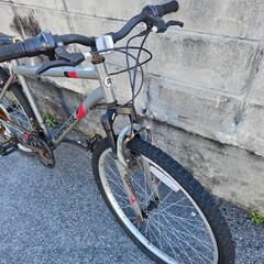 ロードマスター マウンテンバイク 自転車の画像
