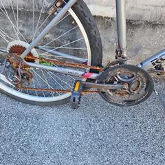 ロードマスター マウンテンバイク 自転車の画像