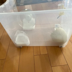 ハムスター🐹飼育セットの画像