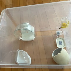 ハムスター🐹飼育セットの画像