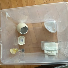 ハムスター🐹飼育セット