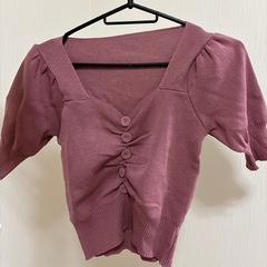 2月までの取引！半袖ニットトップスの画像