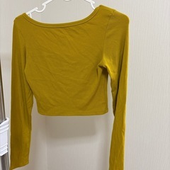 2月まで！クロップシャツの画像