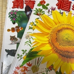 図鑑　小学館　小学生　長期出品無いです