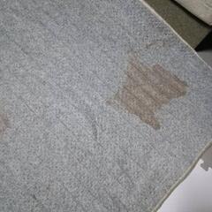 【値下げ】電気カーペットの画像
