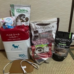 ハリネズミ飼育セット