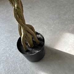 IKEA フェイクグリーンの画像