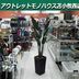 ランキングキーワードに紐づく投稿画像-観葉植物