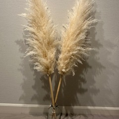 パンパスグラスと花瓶のセット