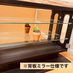 JF0028 コレクションケース　カルトーネ2004Bの画像