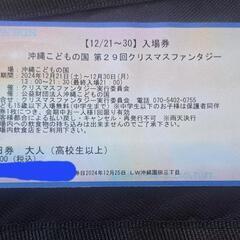 沖縄こどもの国クリスマスファンタジー大人入場券