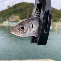 ◆鶴岡で新しい友達探し中◆ 一緒に楽しい時間を過ごしませんか？ − 山形県