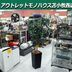 ランキングキーワードに紐づく投稿画像-観葉植物