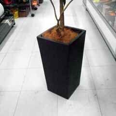 人工観葉植物 フェイクグリーン ドラセナ ワーネッキー 高さ約157㎝ 造花 オブジェ ディスプレイ 苫小牧西店の画像