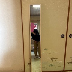 姿見 ニトリ　