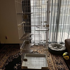 キャットゲージ