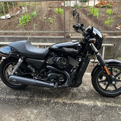 ハーレーダビッドソン　ストリート750の画像