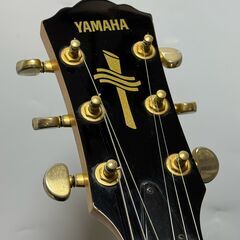 エレクトリック・アコースティックのハイブリッドギター YAMAHA AEX500の画像