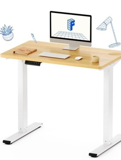 flexispot 電動昇降デスク