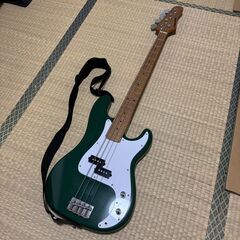 PLAYTECH JB480 Green ほぼ新品 ソフトケース付き