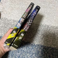 （ホラー）鯛夢・シリーズ（2冊セット）の画像