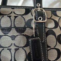 ⭐︎coach（コーチ）総柄ミニトートバッグの画像