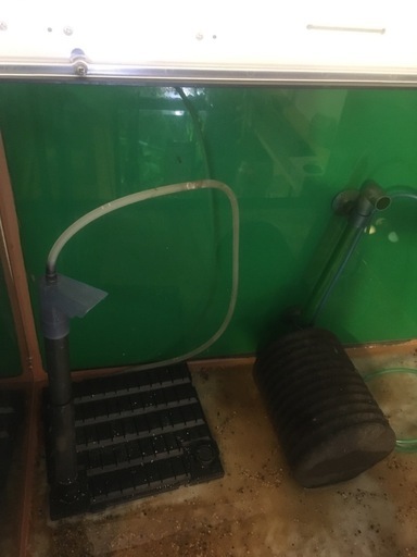 60cm x 45cm  45cm水槽中古　ライト、ガラスふた、底面フィルター、スポンジ