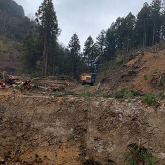 林業　作業員募集！の画像