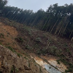 林業　作業員募集！の画像