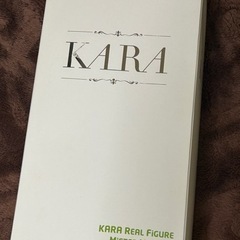 KARA スンヨンのフィギュア