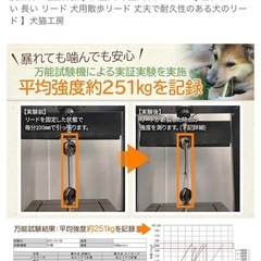 絡まりにくいロングリードの画像