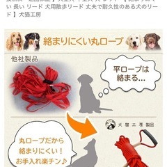 絡まりにくいロングリードの画像