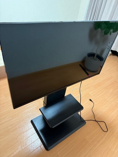 FUNAI 43インチ型テレビ(値下げ可能)