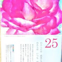 ひめくりカレンダー25日