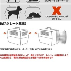 ペットキャリー IATA 基準クリア XLサイズ キャスター付きの画像