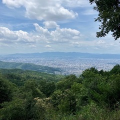 正月ボケ解消に大文字山登りませんか？⛩️