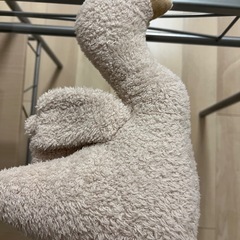 スリーコインズ　ぬいぐるみセットの画像