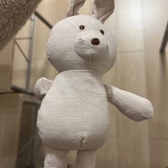 スリーコインズ　ぬいぐるみセットの画像
